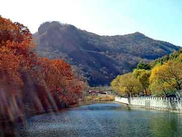 管家婆免费正版资起大全，空气呼吸器型号